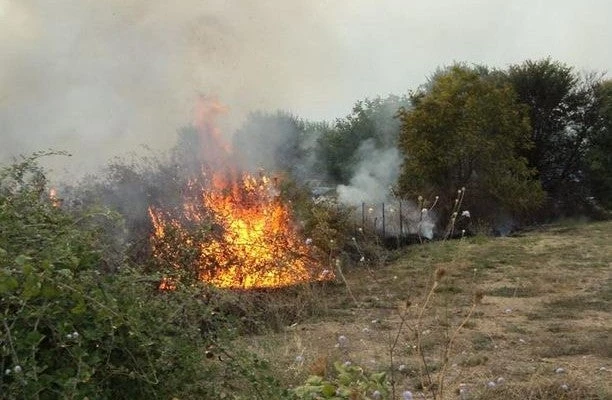 Φωτιά στη Γαλάζια Ακτή στον Σχοινιά – Επιχειρούν έξι οχήματα της Πυροσβεστικής